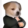 dangdzaivcl