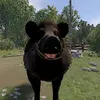 m__nikita