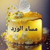 abo.mohammed262