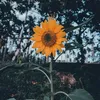 home_schoolfinds