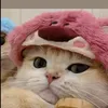 shwezincho24
