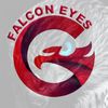 falcon___eyes
