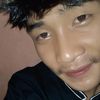 fann33373