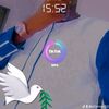 aliamerd181