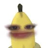 ptk_c12