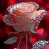user8322042244088