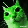 zahraaa_yaa
