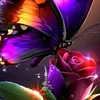 luciane.nunes299