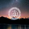 omhamoudi461