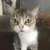 lurismehoahoc