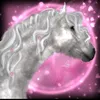 pink_pirates_academy0