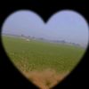 bzkhan8
