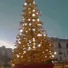 eufemia.barbaresc