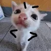 huhu.kheckheckhec