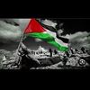 omnia.ahmed058