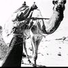 user1830660105545