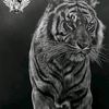 davidtapia726