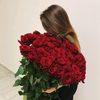 tehreem.khan44