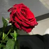 abn.efran