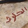 𓃵5.0.6