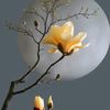 moonz8259