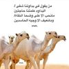 user4600635558137