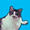 cattameme