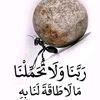 djabourabi.naseer