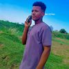 .515.hafez.hsham