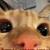 thisgurlisaved