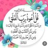 esraa.ayman.brkat