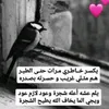 user3042614267545