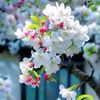 sumon.biswas567