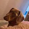 daisy.walker37