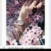 nour61833