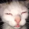no_se_que_ponerxddd333