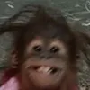 ayangis_