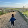 toddlermommyadventures