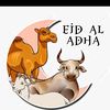 masheri005