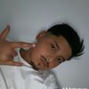 rechinul0074