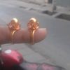 sukun.sunar