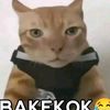 the_cukurukuk12