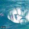 renn_sendir1