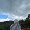 widia.neng