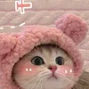 Hí Tạp Quá