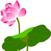 tuy.duyentuyduyen