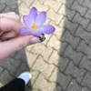 dh.xe_y
