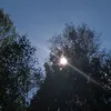 _milanicha_palka