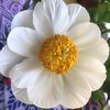 sunnysideup846