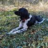 sylvain.thethe